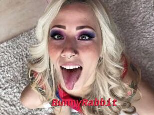 BunnyRabbit