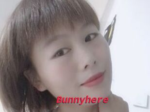 Bunnyhere