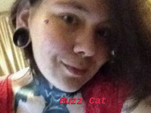 Buzz_Cat