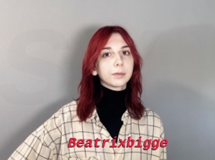 Beatrixbigge