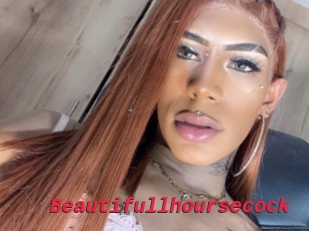 Beautifullhoursecock