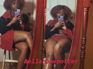 Bellarosepotter