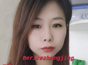 Bericezhangjing