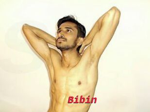 Bibin