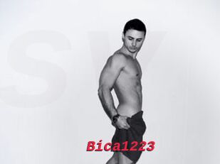 Bica1223