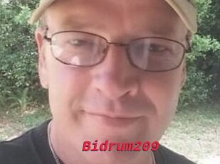 Bidrum209