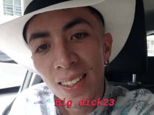 Big_dick23