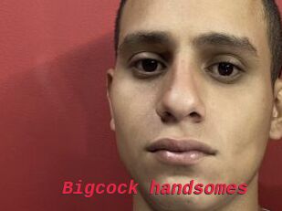 Bigcock_handsomes