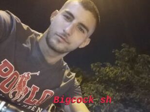 Bigcock_sh