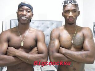 Bigcoocksu
