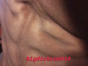 Bigdickcum018