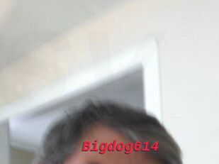 Bigdog614