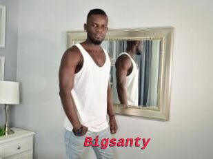 Bigsanty
