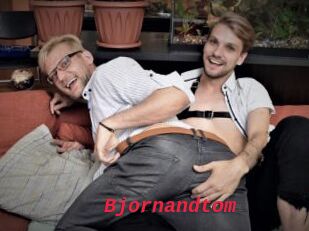 Bjornandtom