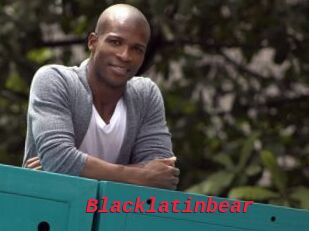 Blacklatinbear