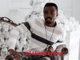 Blakesexyboy