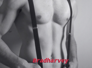 Bradharvey