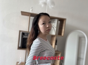 Breecoote