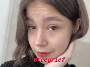 Breegrief