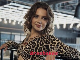 Breehakes