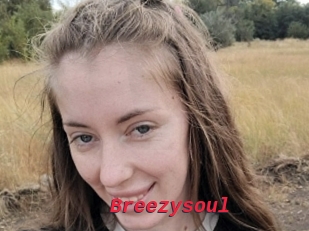 Breezysoul