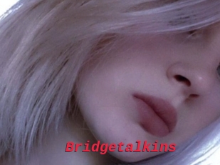 Bridgetalkins