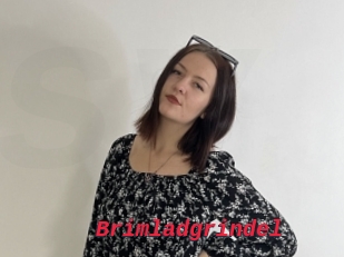 Brimladgrindel