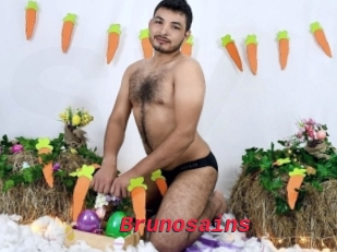 Brunosains