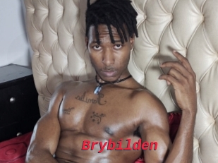 Brybilden