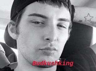 Budkushking