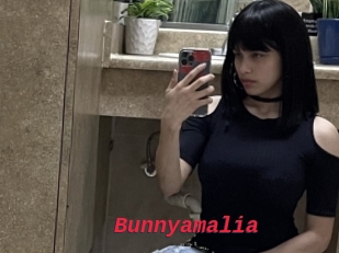 Bunnyamalia