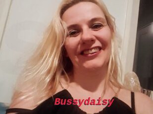 Bussydaisy