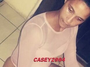 CASEY2004