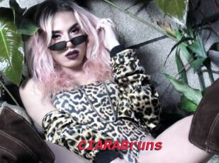 CIARABruns