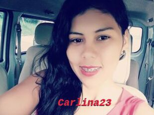 Carlina23