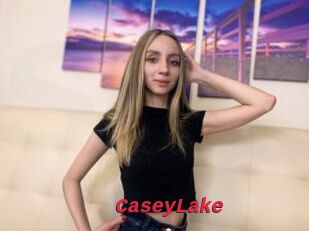CaseyLake