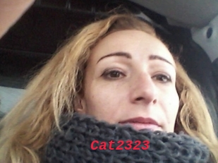 Cat2323