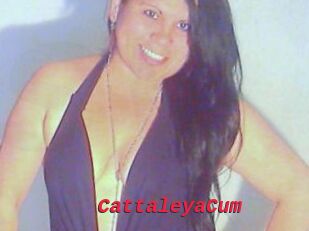 CattaleyaCum