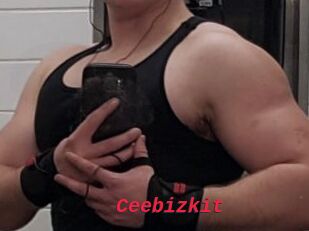 Ceebizkit