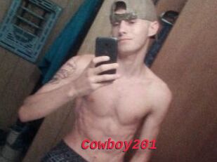 Cowboy201