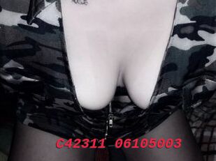 C42311-06105003