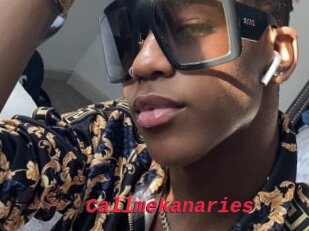 Callmekanaries