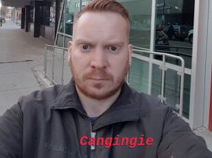 Cangingie