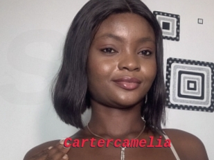 Cartercamelia