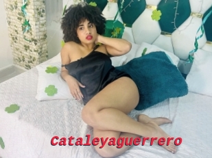 Cataleyaguerrero