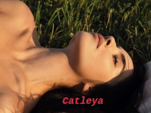 Catleya