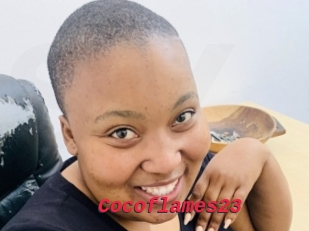 Cocoflames23