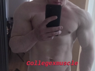 Collegexmuscle