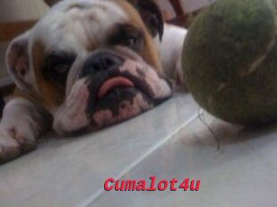 Cumalot4u