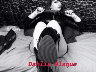 Dahlia_Blaque